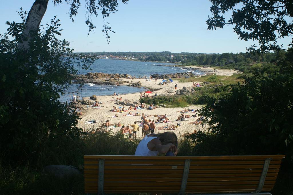 Sandkaas Family Camping & Cottages Allinge-Sandvig Exteriér fotografie